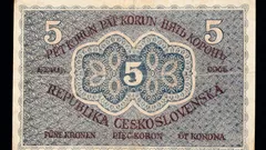 Vzácnost, kterou mnozí přehlíželi, získává nový význam po letech